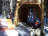 David in Ripperoo's Forest, by the dog mine (2004) David in Ripperoo's Forest, by the dog mine (2004)